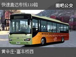 北京快速直达专线119路上行公交线路