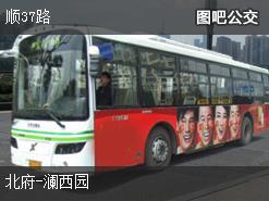 北京顺37路上行公交线路
