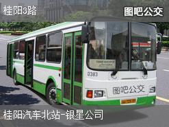郴州桂阳3路上行公交线路