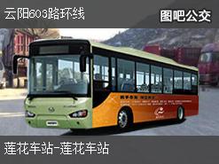 重庆云阳603路环线公交线路