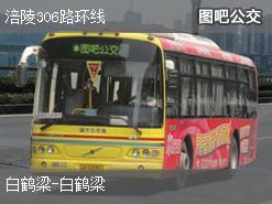 重庆涪陵306路环线公交线路