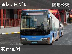 重庆鱼花高速专线上行公交线路