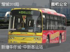 广州增城203路下行公交线路