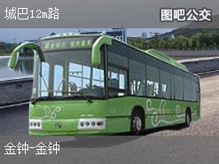 香港城巴12m路公交线路