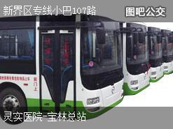 香港新界区专线小巴107路上行公交线路