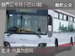 香港新界区专线小巴313路下行公交线路