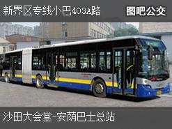 香港新界区专线小巴403A路下行公交线路