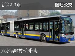 江门新会217路下行公交线路