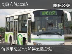 深圳高峰专线123路上行公交线路