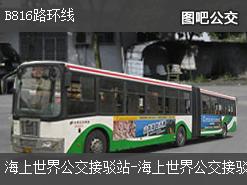 深圳B816路环线公交线路