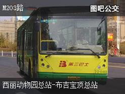 深圳M203路上行公交线路
