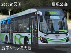 深圳M445路区间下行公交线路