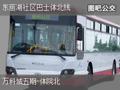 天津东丽湖社区巴士体北线上行公交线路