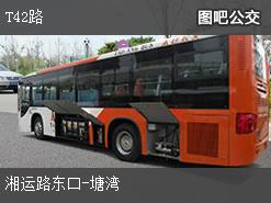 株洲T42路上行公交线路